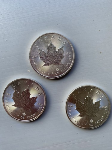 Kanada maple leaf - leaf, 5