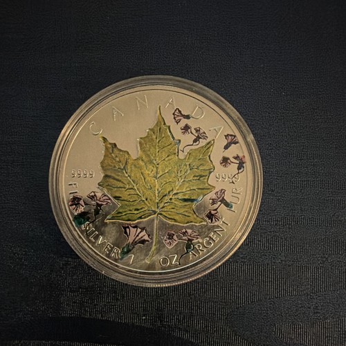 Kanada maple leaf - kanada,