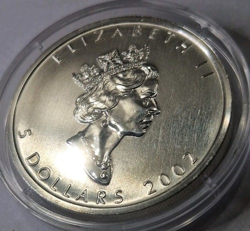 Silber dollar maplel - 5,