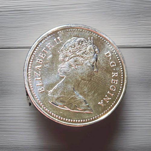 Kanada dollar 1976 silber - dollar,