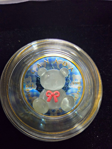 Kanada 2025 sweet teddy - my,