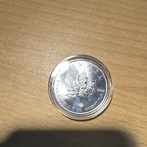 Kanada maple leaf - maple, 2020