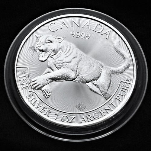 Canada predator 2016 puma - predator,