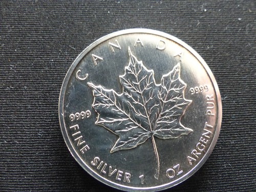 Kanada maple leaf dollars - maple,