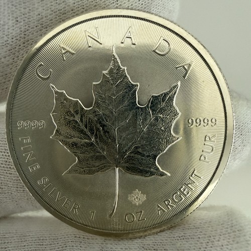 Maple leaf 2017 - 2017, oz