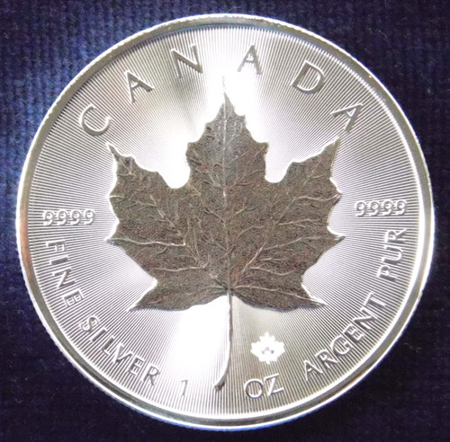 Kanada silber maple - silber, leaf