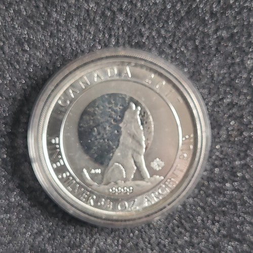 Kanada 2014 howling wolf - wolf, 5