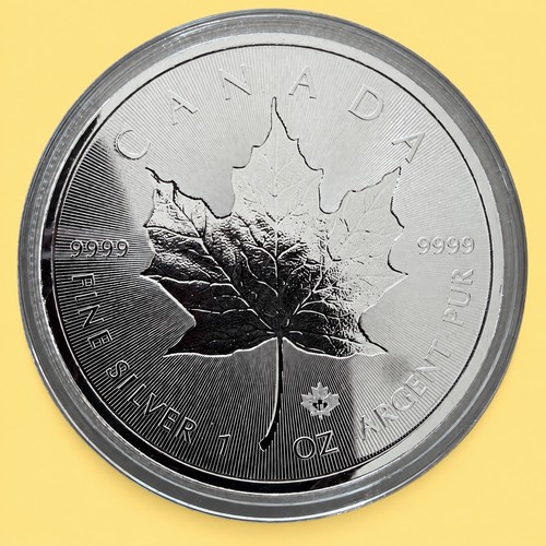 Maple leaf incuse 2018 - maple,