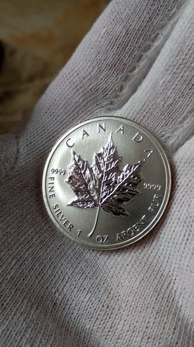 Silbermünze maple leaf - maple, 5