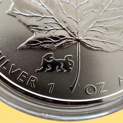 Kanada maple leaf - kanada,