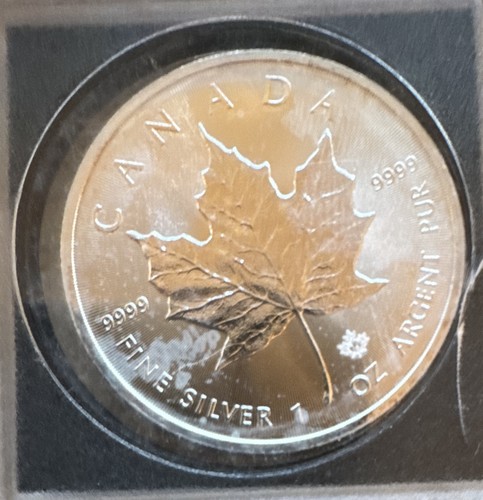Kanada maple leaf dollar - maple,