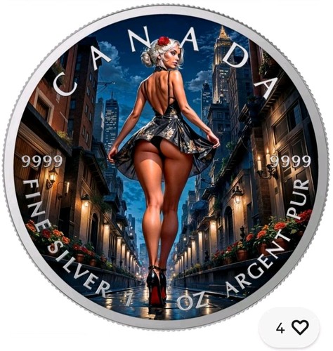 Dollar maple leaf night - -,