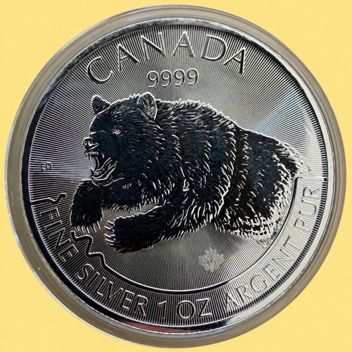 Kanada grizzly 2019 predator - kanada,