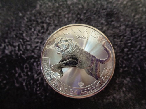 Elisabeth dollars 2013 - ii, 5